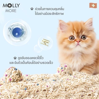 Molly Pure/Blend ทรายแมวออร์แกนิค ทรายแมวเต้าหู้ ผลิตจากธรรมชาติ100% คุมกลิ่น จับตัวเป็นก้อนไว ทรายแมว เบนโทไนท์