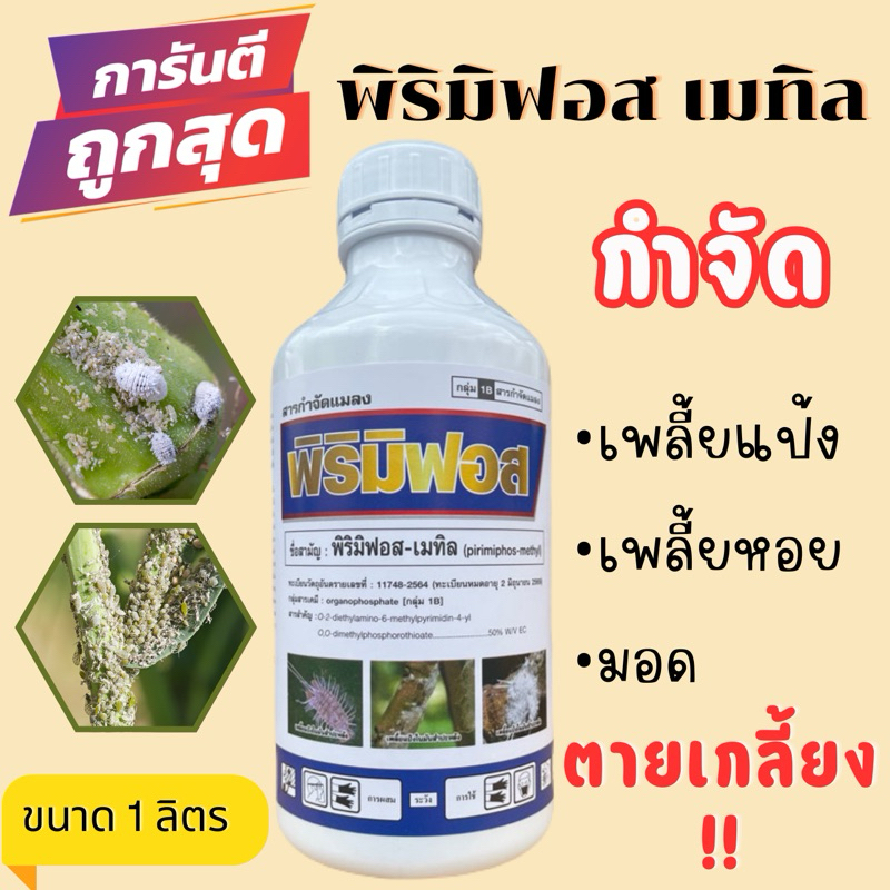 380.- พิริมิฟอส50% เพลี้ยแป้ง เพลี้ยหอย