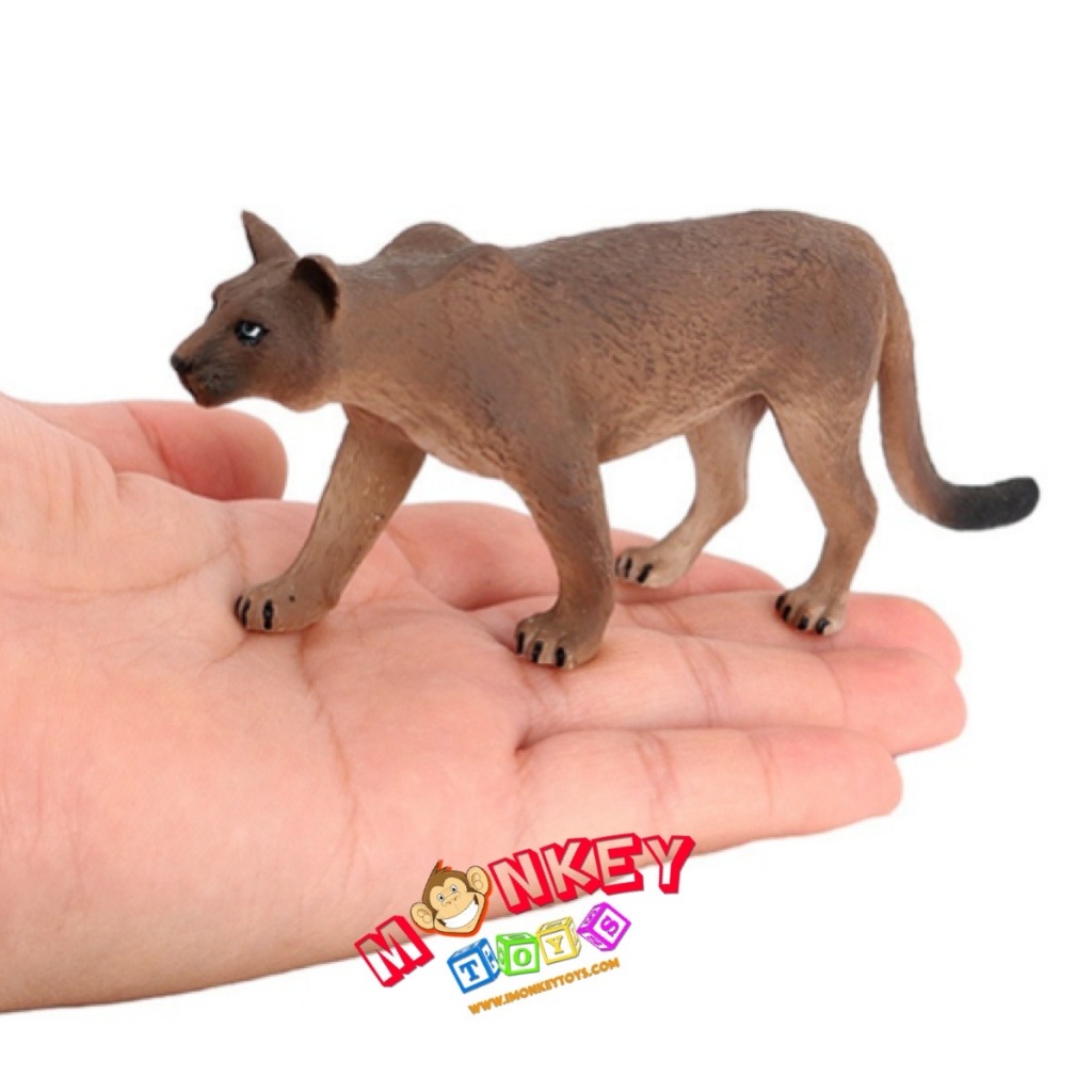 Monkey Toys โมเดลสัตว์ Puma Cougar เสือ พูม่า ขนาด 14.50 CM (จากหาดใหญ่)