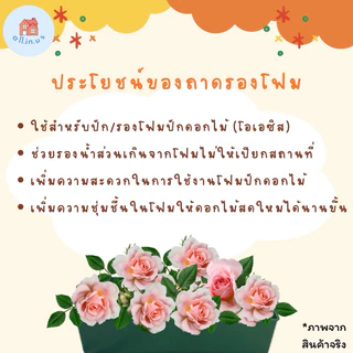 ถาดรองโอเอซิส ถาดรองโฟมปักดอกไม้ รางพลาสติกปักดอกไม้ กระถางโอเอซิส ราคาถูก