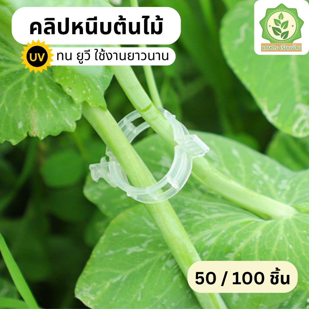 คลิปพลาสติกหนีบต้นไม้ คลิปล็อคไม้เลื้อย แหวนรัดกิ่ง หนีบเชือกได้ ชุดละ 10-100 ชิ้น เหมาะสำหรับหนีบรัดกิ่งไม้ไม้เลื้อย