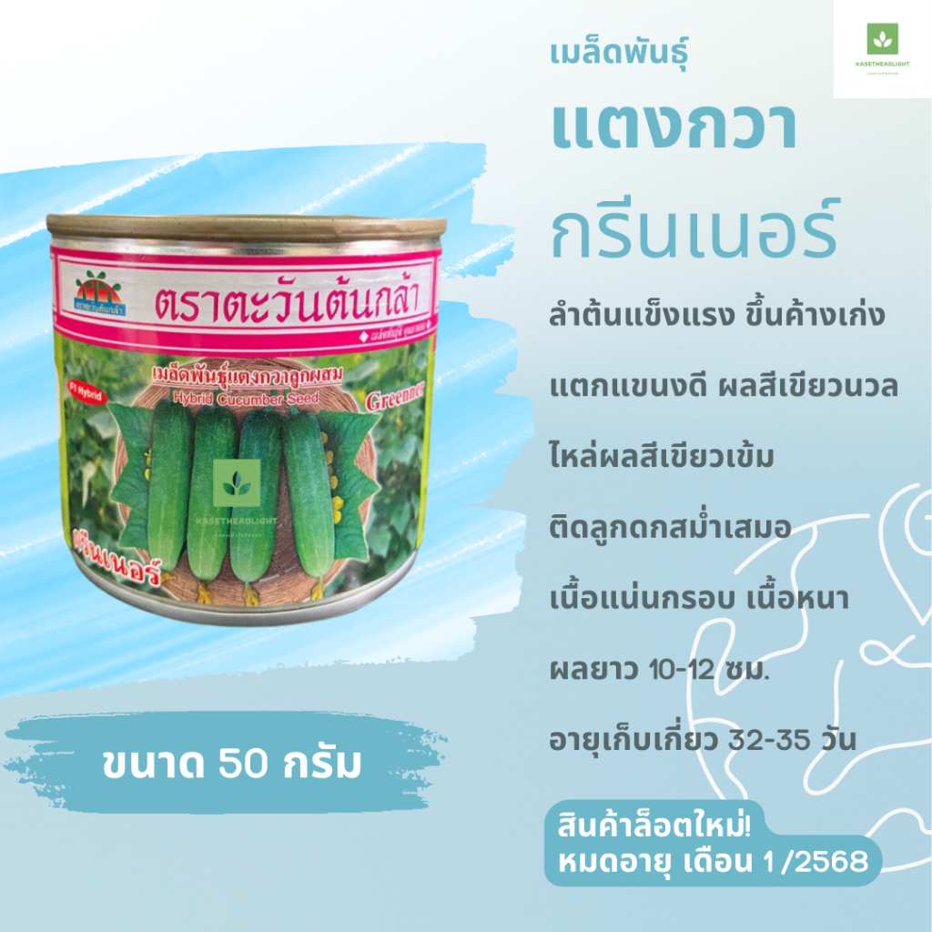 เมล็ดพันธุ์ แตงกวากรีนเนอร์ 50ก. แตงกวา ลูกสั้น เปลือกเขียว ตะวันต้นกล้า