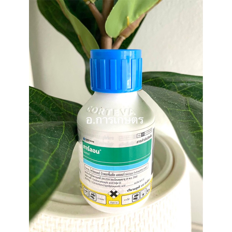 ใช้โค้ตพร้อมกันได้ การ์ลอน 4อี ขนาด 100cc ยาฆ่าตอ ยาฆ่าตอไม้ ยาฆ่ากระถิน ต้นไม้ใหญ่ทุกชนิด ฆ่าตอ