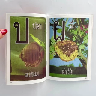 corcai หนังสือ แบบเรียน ก.ไก่ อนุบาล พร้อมภาพ สีสันสดใส ทั้งเล่ม สินค้าพร้อมส่ง