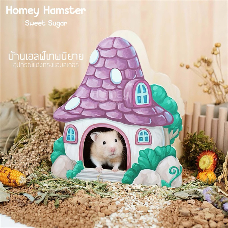 Homey Hamster บ้านหลบแฮมสเตอร์ Sweet Sugar ของแต่งกรงหนูแฮมสเตอร์ กล่องขุด จักรแฮมสเตอร์ รองกรง millamore niteangel เม่น