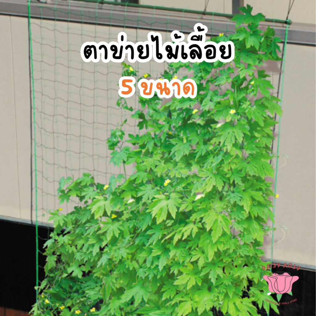 [ส่งเร็ว ] ตาข่ายไม้เลื้อย 5 เมตร ตาข่ายไนลอน 0.9/1.8/3.6/5เมตร อวนปลูกผักแหปลูกต้นไม้ อุปกรณ์ทำสวน ตาข่ายไนลอนไม้เลื้อย