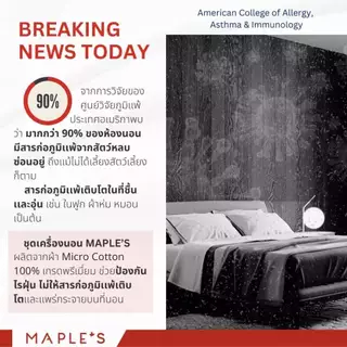 MAPLE'S ผ้าปูออเเกนิคคอตตอน สําหรับคนขี้ร้อน ฟูก10-14นิ้ว​ รัดมุม กันไรฝุ่น 3.5 5 6ฟุต ผ้าปูฝ้าย