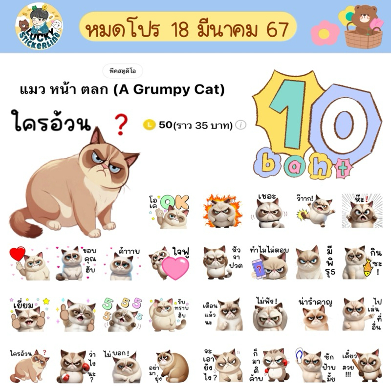 โปรลดราคาสติกเกอร์ไลน์ ลาย “แมว หน้า ตลก (A Grumpy Cat)“ [#ลดเฉพาะลายในรูปเท่านั้น]