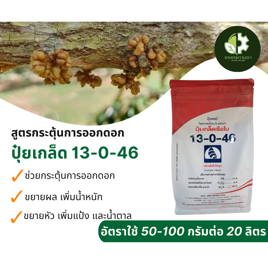 ปุ๋ยเกล็ด13-0-46 เรือใบ (ขนาด 1 กก.)ชักนำการออกดอก เพิ่มอัตราการสะสมแป้ง น้ำตาล ลดอาการบ้าใบ