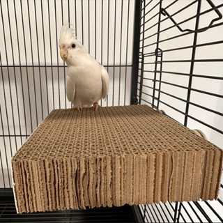 H-61 แท่นกระดาษลัง ของเล่นนกแก้ว ของเล่นหัดกัดแทะ แก้เบื่อ