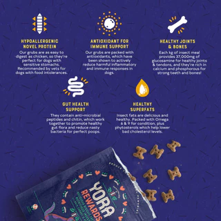 YORA Rewards Baked Dog Treats Peanut Butter Banana 100g โยรา รีวอร์ดส ขนมบิสกิตโปรตีนแมลงสำหรับสุนัข