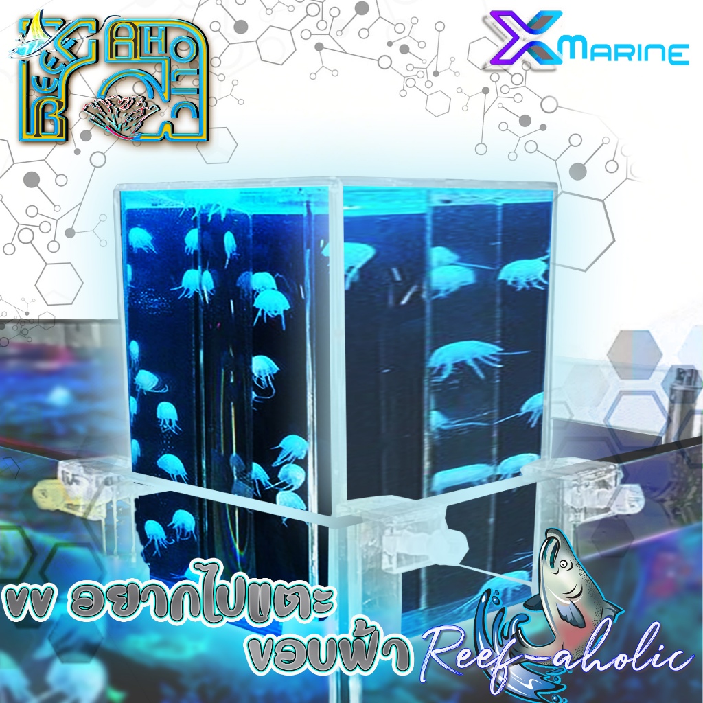 Reef-aholic X-Marine ของเล่นเกร๋ๆ ให้เราได้ใกล้ ได้ชิดกันมากขึ้น บนที่สูง Voonline Vacuum Box