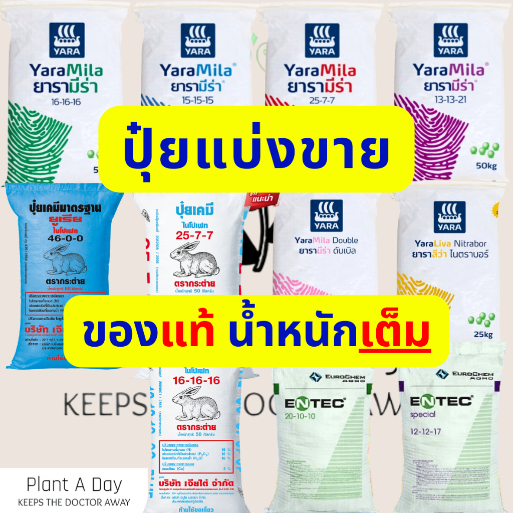 ปุ๋ยแบ่งขาย 350 กรัม ปุ๋ย 16-16-16 /ปุ๋ย 25-7-7 /ปุ๋ย 8-24-24 /ปุ๋ย 46-0-0 /ปุ๋ย 25-15-0 /ปุ๋ย 12-12