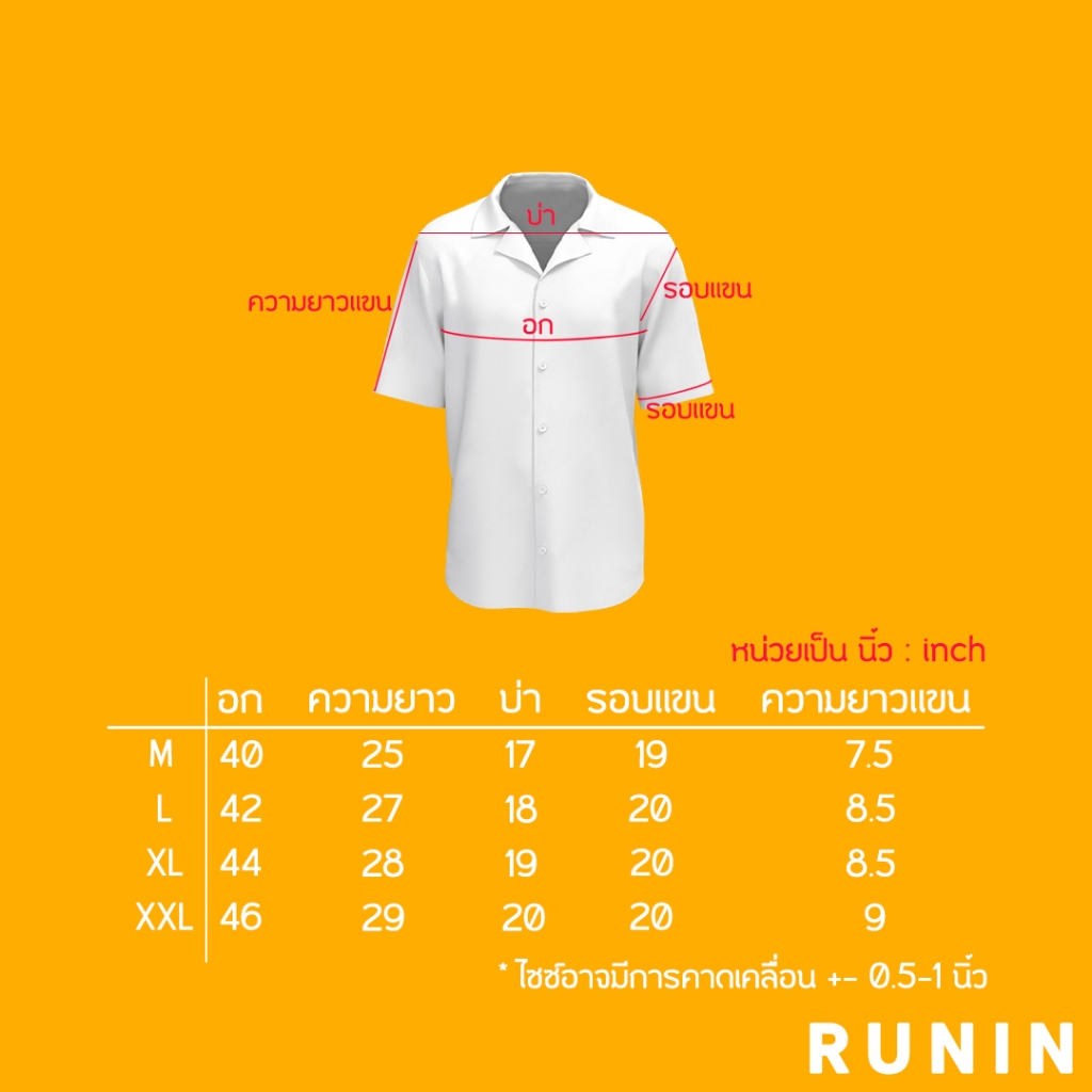 รูปภาพ 8