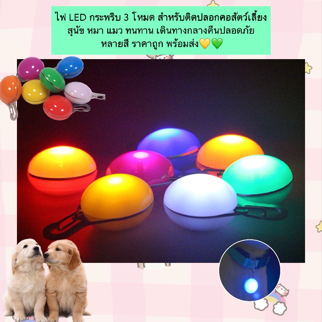 MG-850 ไฟ LED กระพริบ 3 โหมด สำหรับติดปลอกคอสัตว์เลี้ยง พร้อมส่ง💛💚