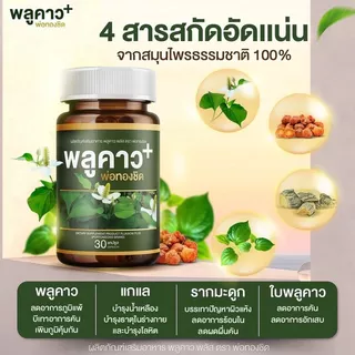 ส่งฟรี ทุกออเดอร์ Plukaow Plus พลูคาว พลัส พ่อหม่อชิด วิตามินเสริมภูมิคุ้มกัน ดูแลผิวหนัง ผดผื่น ฟื้นฟูเซลล์ผิว
