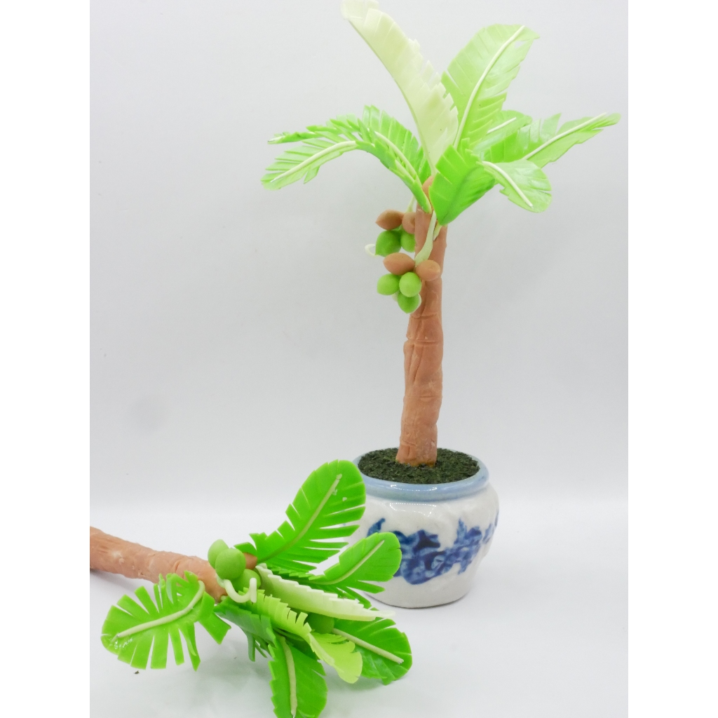 ต้นมะพร้าว มะพร้าว ต้นไม้มงคล งานดินปั้น มะพร้าวจิ๋ว ต้นมะพร้าวจิ๋ว มะพร้าวจิ๋วดินปั้น ไม้มงคล - รูปที่ 5