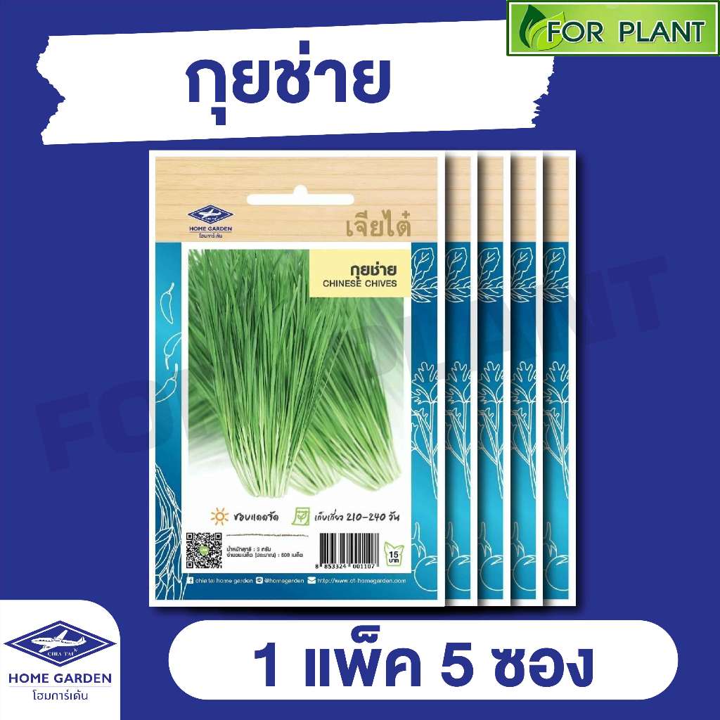 ผักซอง เจียไต๋ CT15 กุ้ยช่าย บรรจุแพ็คละ 5 ซอง ราคา 43 บาท