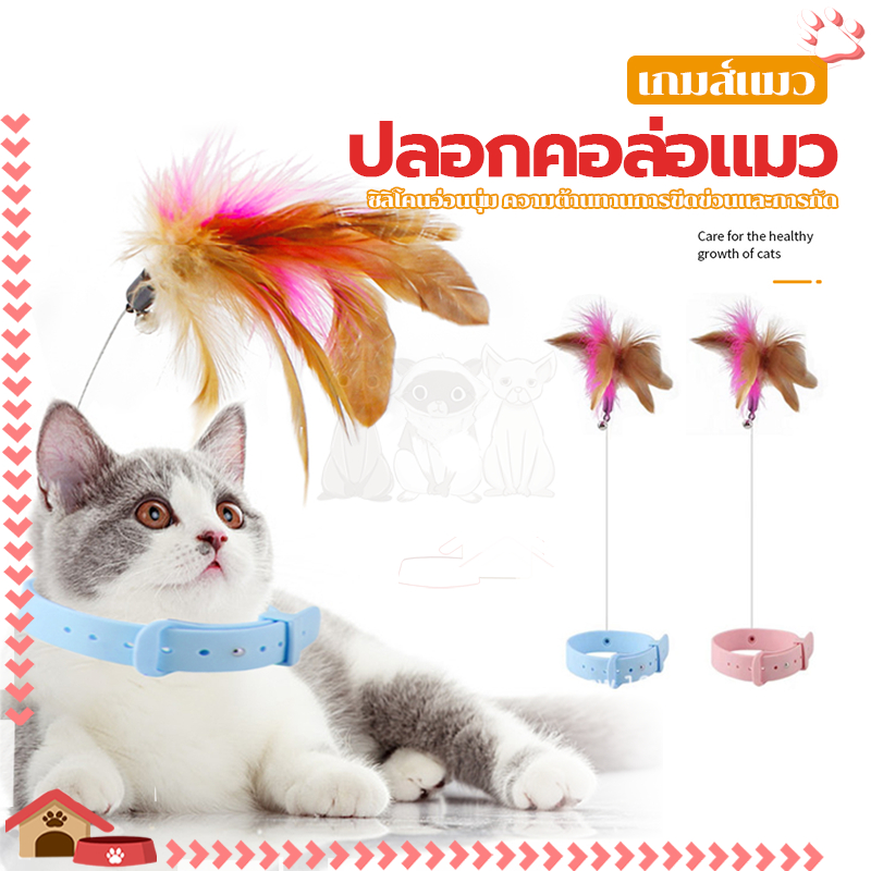 ปลอกคอแมว ปลอกคอล่อแมว ติดขนนกและกระดิ่ง ปรับได้ ดึงดูดความสนใจของแมวของคุณ เหมาะกับแมวทุกวัย