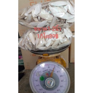 กระดองปลาหมึกถูกที่สุด 1กิโลกรัม