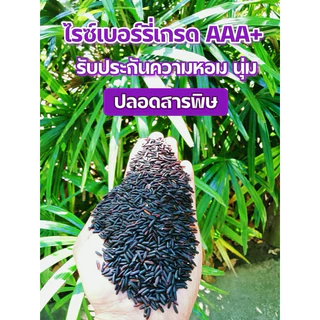 ข้าวไรซ์เบอร์รี่ ตรามีสุข ข้าวกล้อง ทานดีเพื่อสุขภาพ (ซีลสูญญากาศ 1 กิโล 5 ถุง)