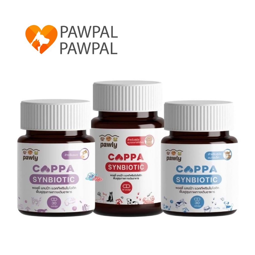 Pawly Cappa Synbiotic จุลินทรีย์ โพรไบโอติก พรีไบโอติก Probiotics รักษาสมดุลทางเดินอาหาร สุนัข แมว