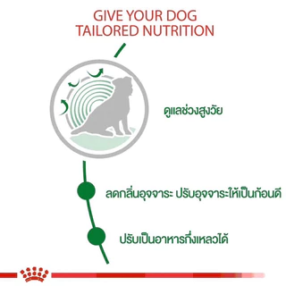 [SENIOR 3KG] Royal Canin Mini Indoor SENIOR อาหารเม็ดสุนัขพันธุ์เล็ก อายุมาก 3KG