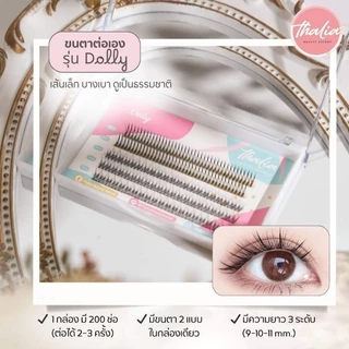 Thalia Beauty Secret ขนตาปลอมแบบช่อ ขนตาต่อถาวร ขนตาปลอมเกรดพรีเมี่ยม ขนตาปลอมธรรมชาติ ขนตาจับช่อ