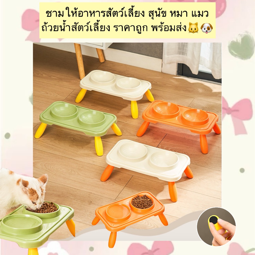 PP-1197 PET BOWL 🐶🐱 ชามอาหารสุนัขและแมว ชามอาหารพร้อมขาตั้ง เหมาะกับสัตว์เลี้ยงทุกวัย โดยเฉพาะสุนัขและแมวพันธุ์เล็ก 💖