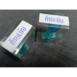 ตรายางต้นฉบับ(ผลิตจากยางพาราแท้)