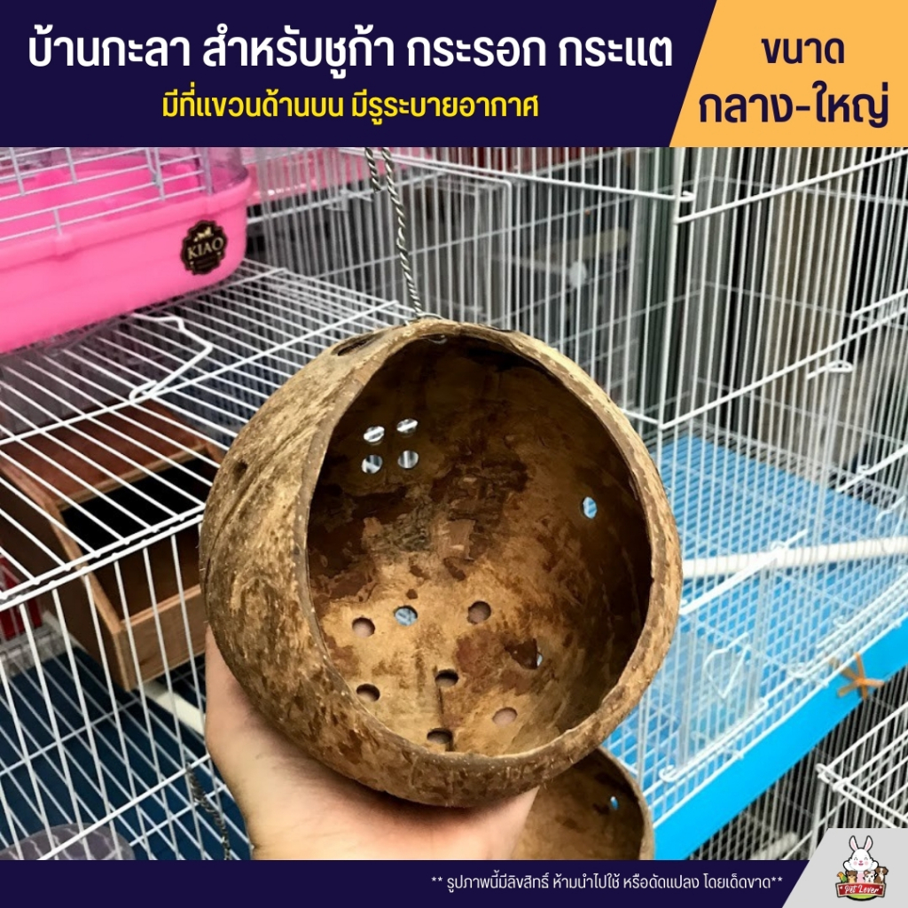 บ้านกะลา สำหรับ ชูก้าไรเดอร์ กระรอก กระแต มีที่แขวนด้านบน มีรูระบายอากาศ