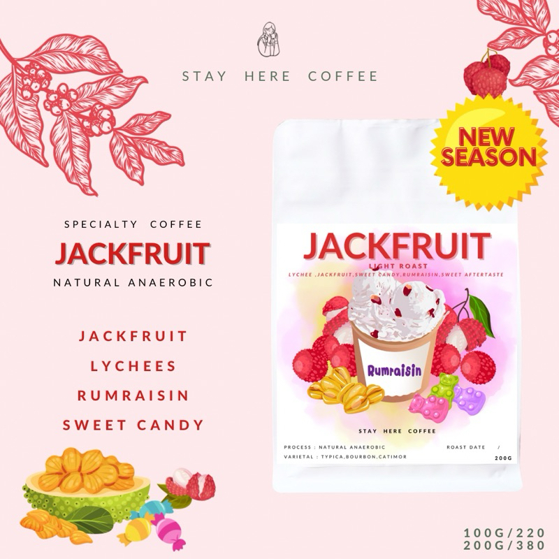 เมล็ดกาแฟคั่วอ่อนแม่จันใต้ Jackfruit (Omni Roast)