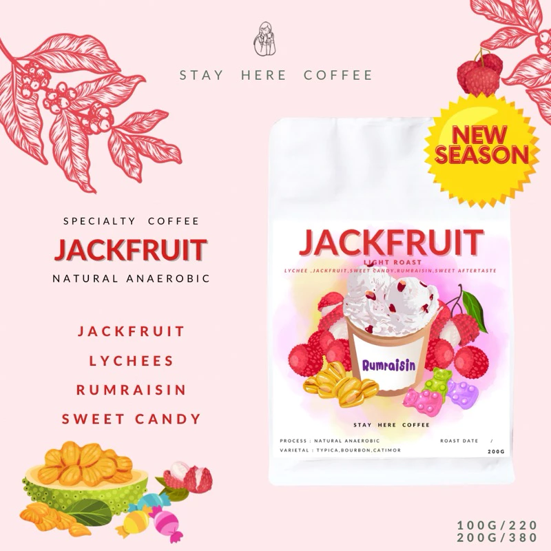 เมล็ดกาแฟคั่วอ่อนแม่จันใต้ Jackfruit (Omni Roast)
