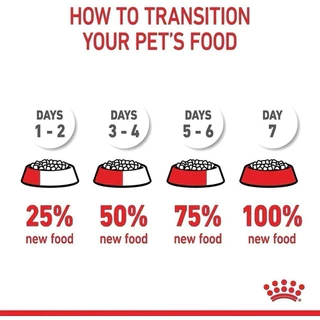 Royal Canin Kitten 2 kg อาหารเม็ดแมว โรยัลคานิน ลูกแมว ขนาด 2 กิโลกรัม exp.02/2027