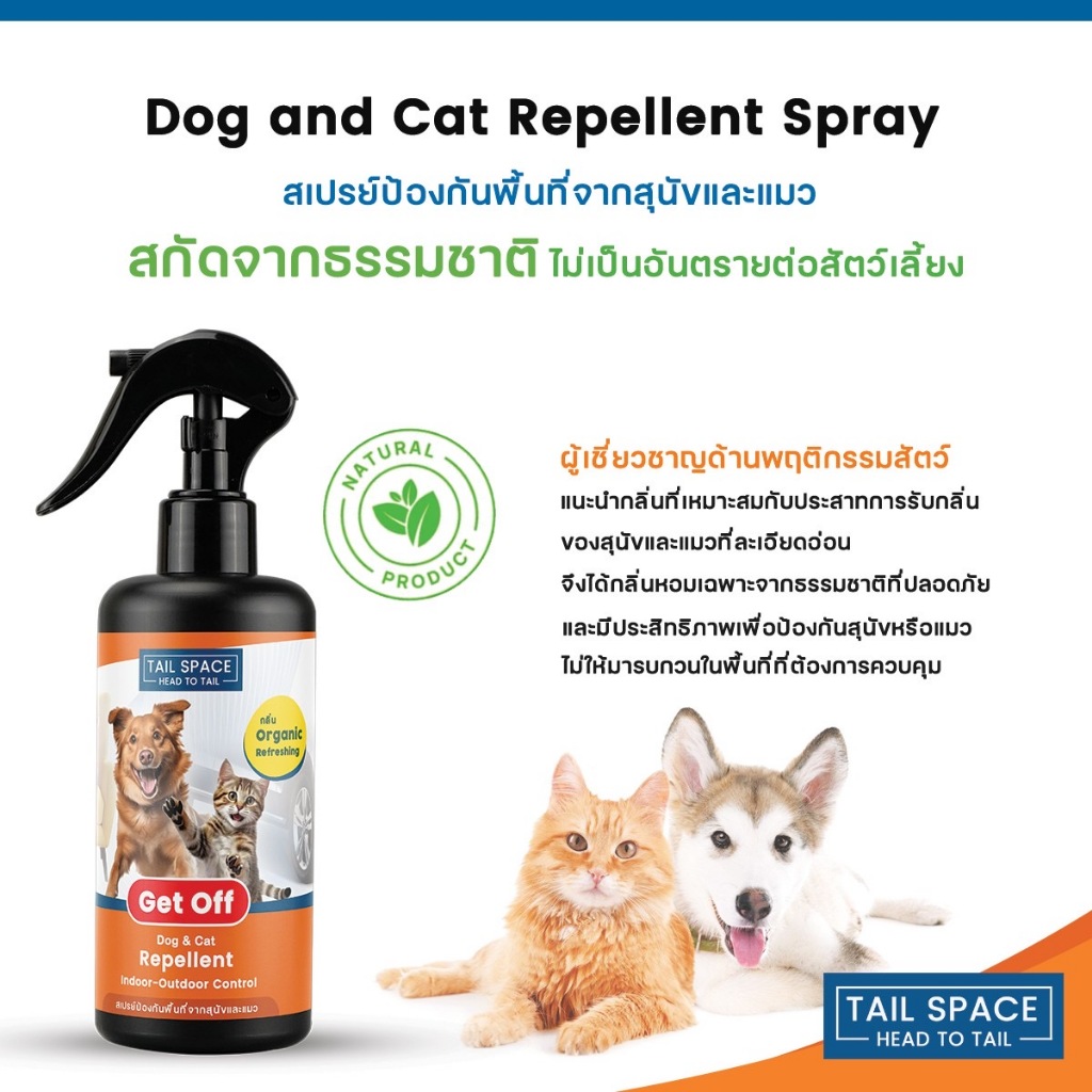 รูปภาพ 6