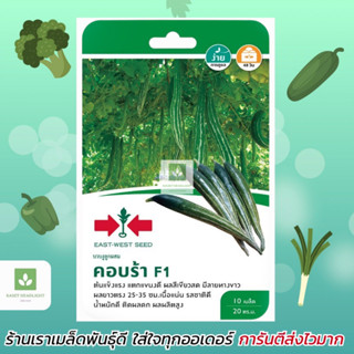 บวบงู คอบร้า ศรแดง เมล็ดพันธุ์บวบงู เมล็ดบวบงู