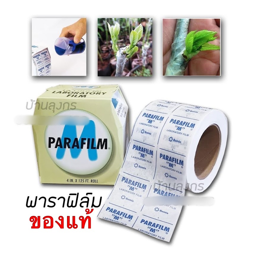 พาราฟิล์ม เล็ก 20 ฟุต​(Paraflim M) ของแท้แบบแบ่งขาย