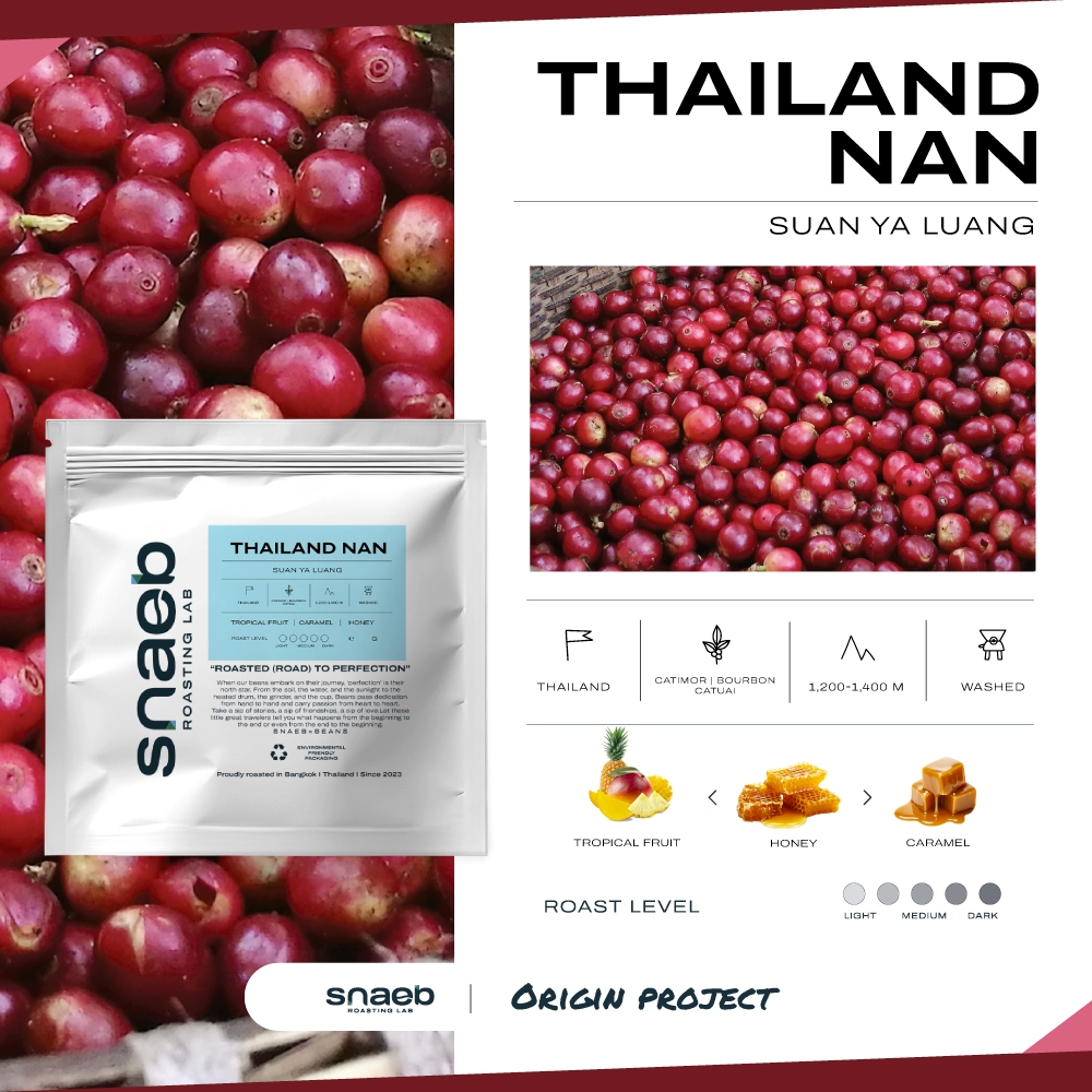 Thailand Nan Suan Ya Lung Washed | เมล็ดกาแฟคั่ว คั่วกลาง Snaeb Coffee