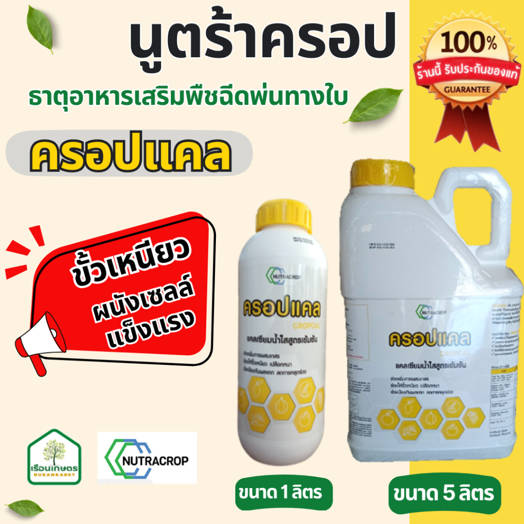 ครอปแคล (แคลเซียม-โบรอน) นูตร้าครอป ช่วยให้ขั้วเหนียว ลดการหลุดร่วงของขั้ว ของแท้100% ขนาด 5 ลิตร - รูปที่ 2