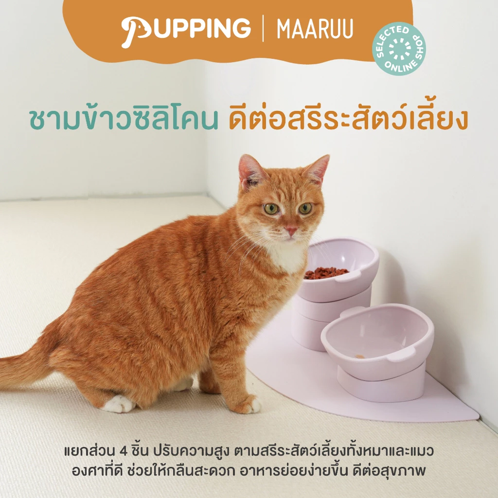 Pupping Silicone Pet Bowl ชามข้าวซิลิโคน สำหรับสัตว์เลี้ยง นำเข้าจากประเทศเกาหลี🇰🇷