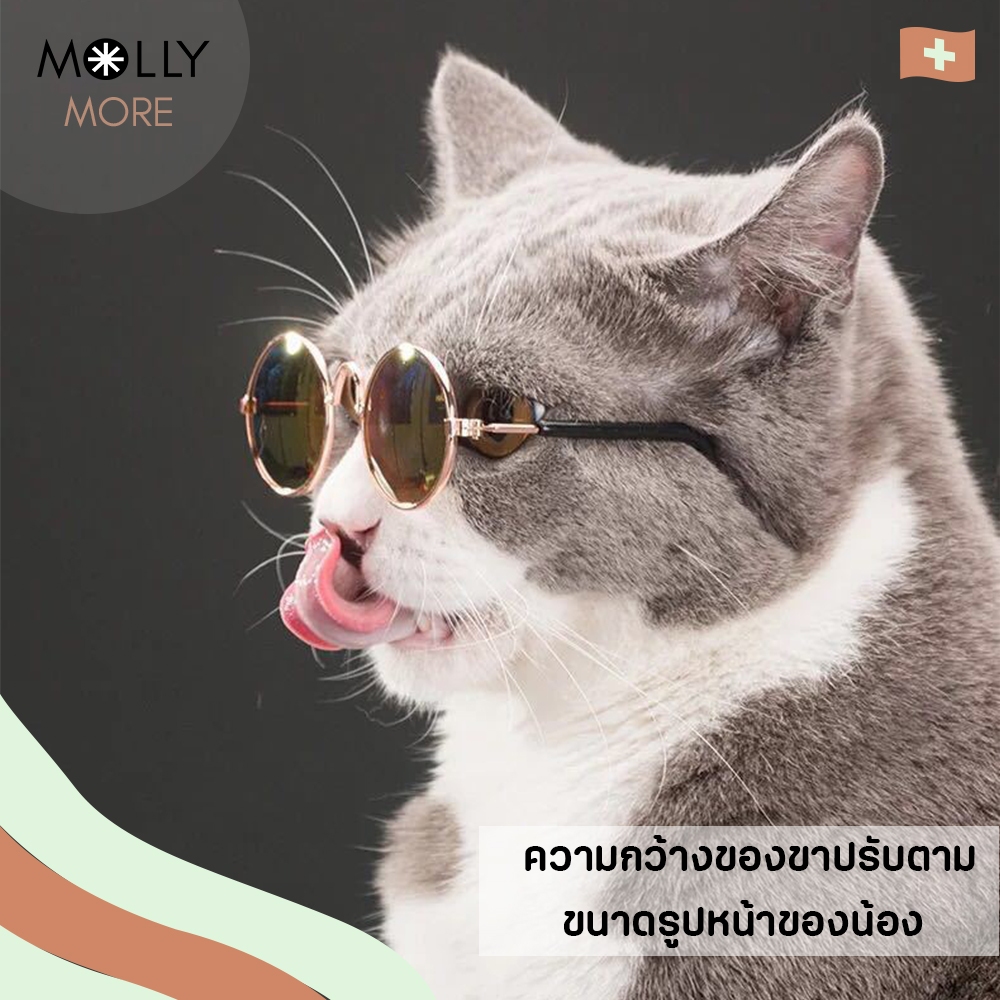 MOLLY   แว่นตาสัตว์เลี้ยง Vintage Collection แว่นแมว หมา แว่นกันแดด สําหรับสัตว์เลี้ยง - รูปที่ 3