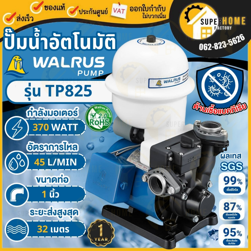 WALRUS PUMP รุ่น TP825PB ปั๊มน้ำอัตโนมัติ 1นิ้ว 370w ส่งสูง 30 เมตร ขดลวดทองแดงแท้ ปั๊มน้ำ ปั้มน้ำ ป