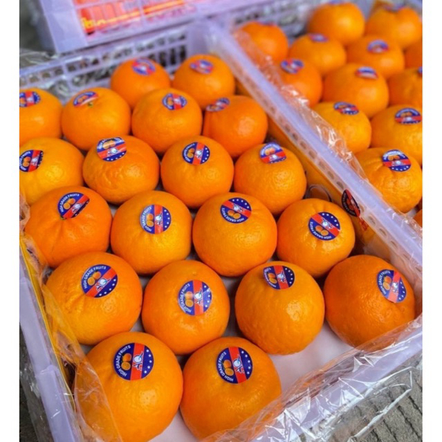 รูปภาพ 2