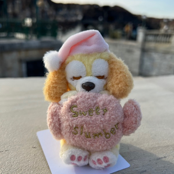 พร้อมส่ง พวงกุญแจ LinaBell / CookieAnn จาก Tokyo DisneySea