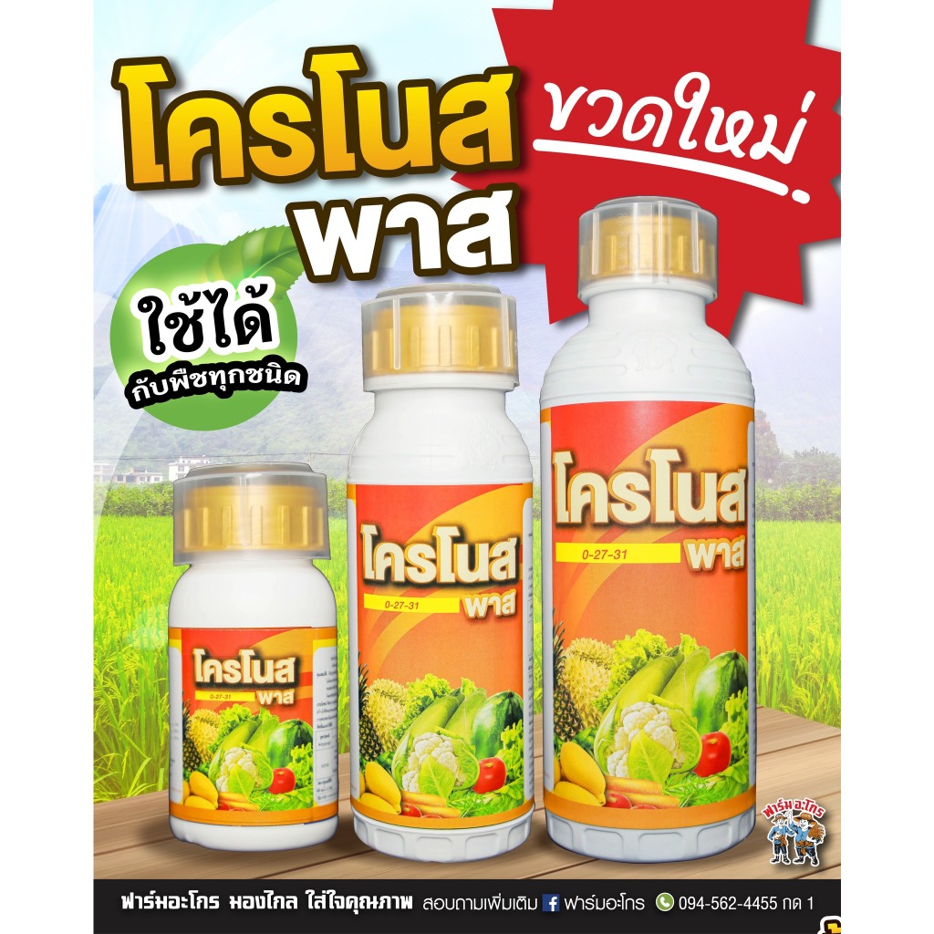 โครโนสพาส  เพิ่มความหวานในอ้อย ผลไม้ ข้าวเมล็ดเต่ง รวงโต น้ำหนักดี เร่งสุกของข้าว ไล่ความชื้น