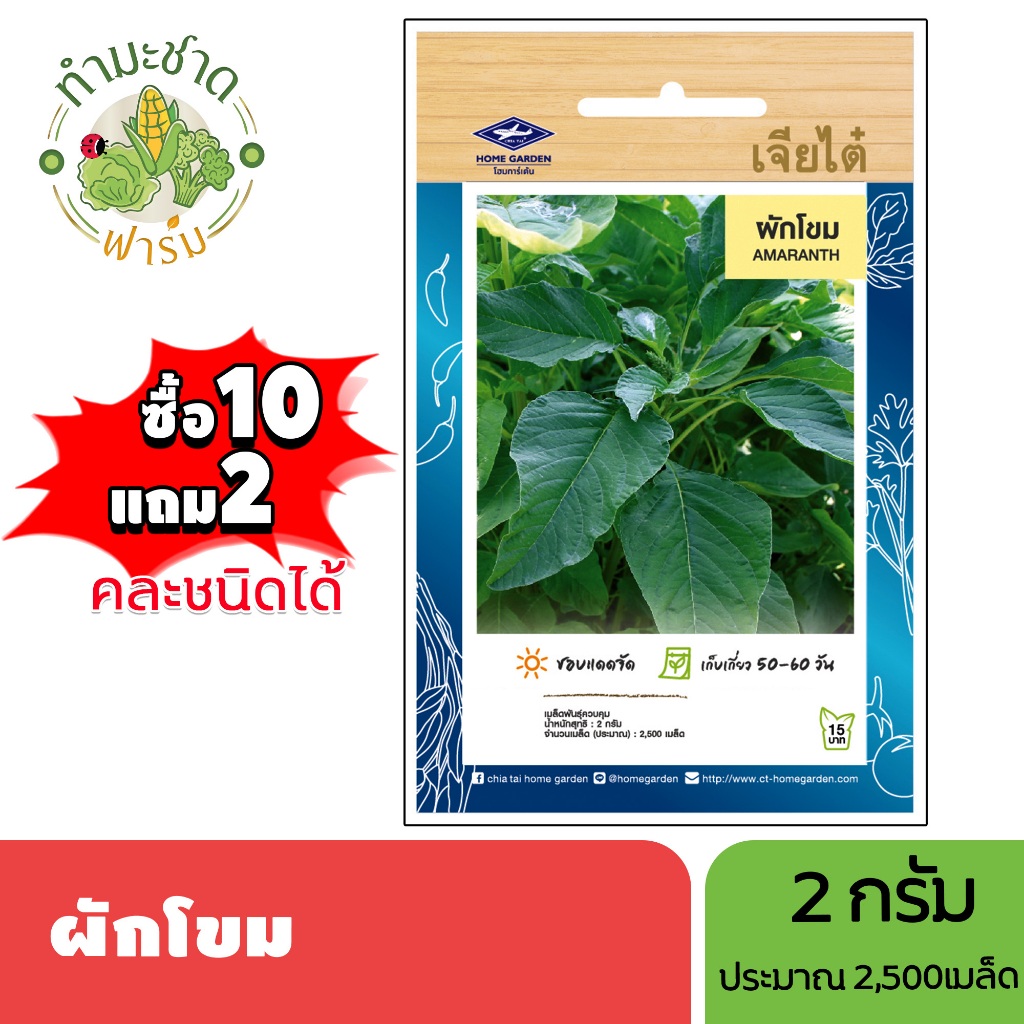 เจียไต๋ (ซื้อ10แถม2) เมล็ดพันธุ์ ผักโขม ขนาด2กรัม ประมาณ2,500เมล็ด Amaranth ผักโขม ผักโหม ผักหม เมล็