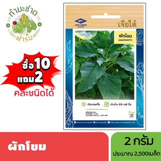 เจียไต๋ (ซื้อ10แถม2) เมล็ดพันธุ์ ผักโขม ขนาด2กรัม ประมาณ2,50…