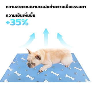 Petcho Pet Cool Mat แผ่นเจลเย็น ที่นอนเย็น แผ่นเย็นแมว เบาะเย็นแมว เจลเย็นหมา แผ่นเย็นหมา ที่นอนแมว ที่นอนหมา