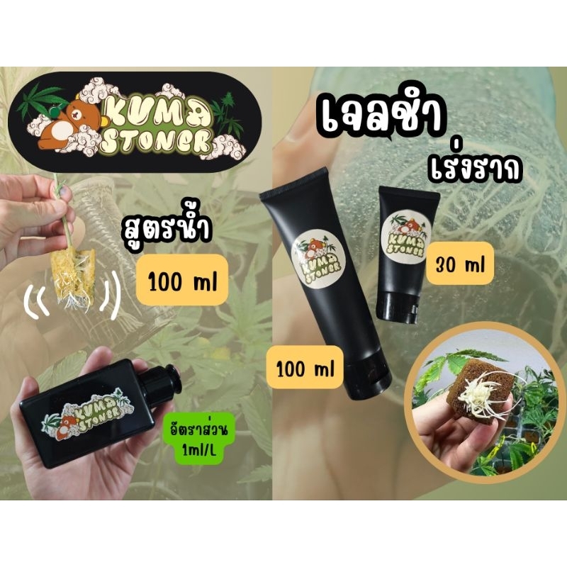 เจลชำ เร่งราก rooting gel เร่งราก กิ่งตอน กิ่งปักชำ น้ำยาเร่งราก กระตุ้นการแตกใบอ่อน บำรุงราก