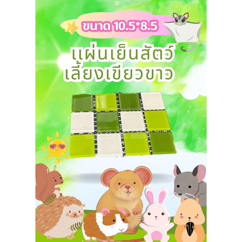 (MMPetShop)แผ่นเย็นหนูแฮมสเตอร์ คลายร้อน (เป็นแผ่นแก้วเย็น) โปรดระวังร้านผีลอกเลียนแบบที่ตั้งราคาสูงๆ **
